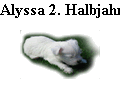 Alyssa 2. Halbjahr