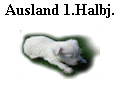 Ausland 1.Halbj.