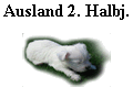 Ausland 2. Halbj.