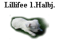 Lillifee 1.Halbj.