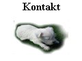 Kontakt