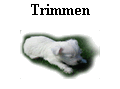 Trimmen