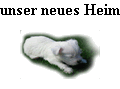 unser neues Heim