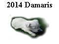 2014 Damaris