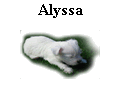 Alyssa