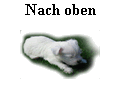 Nach oben